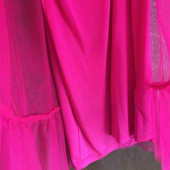 Sheer Pink Dress🩷 - Picture 3 of 5